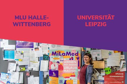 Schriftzug Unis und Zettelwand mit den Worten MiLaMed