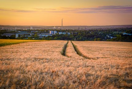 Feld und Blick über Chemnitz